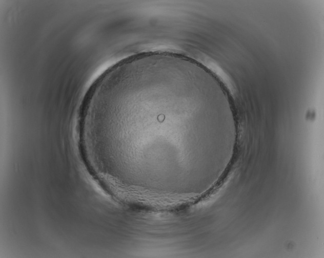 X0000094430983200711081222