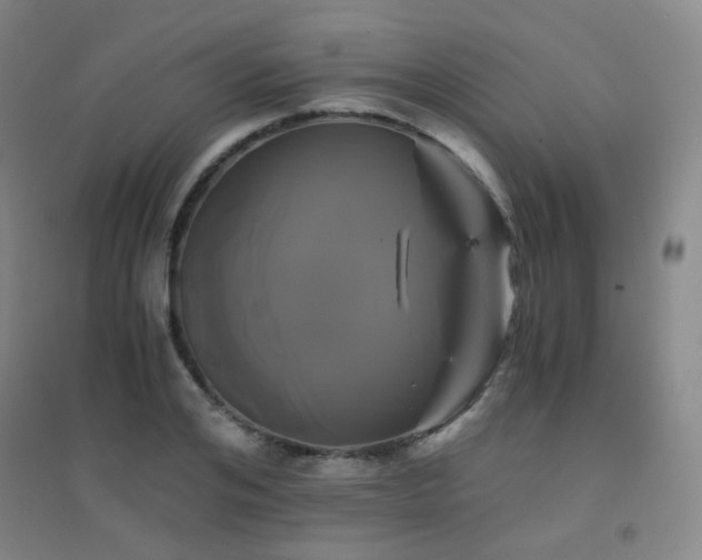 X0000094430984200711081222