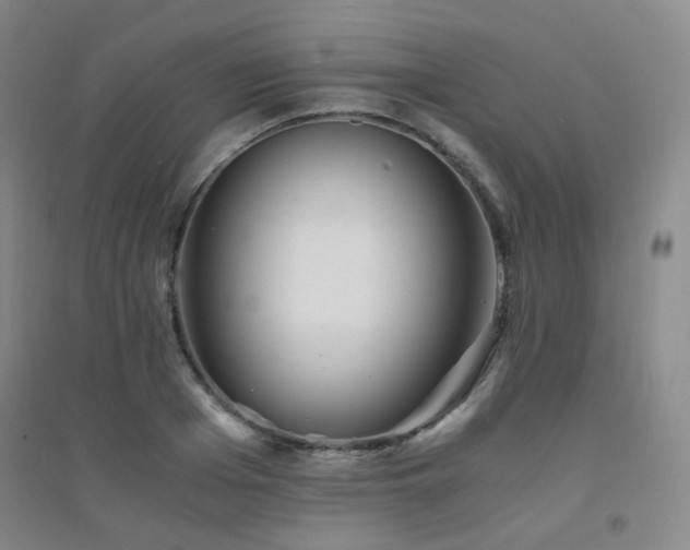 X0000094430985200711081222