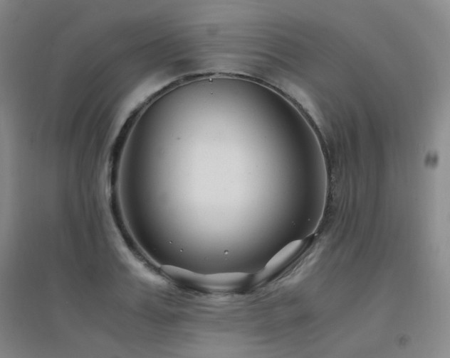 X0000094430987200711081222