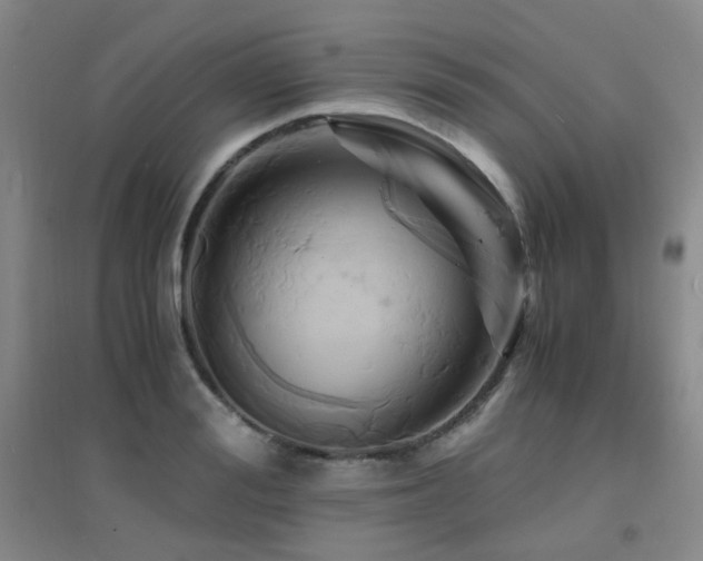X0000094430988200711081222