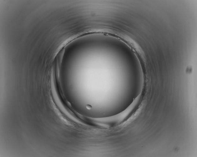 X0000094430993200711081221