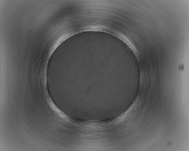 X0000094430994200711081221