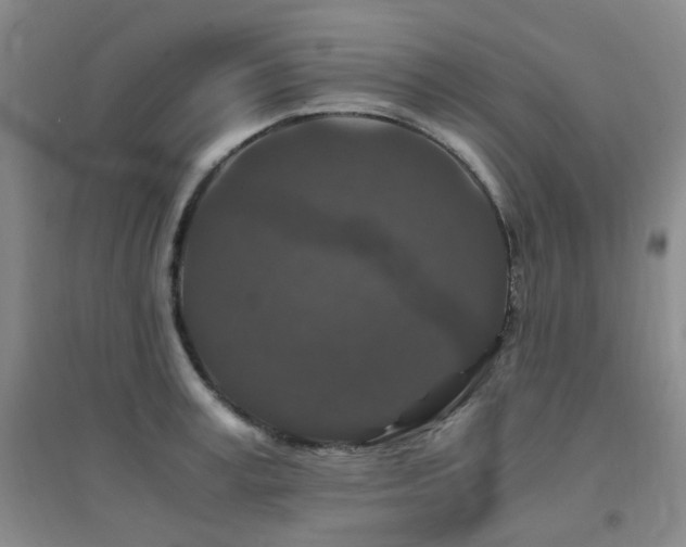 X0000094430995200711081221