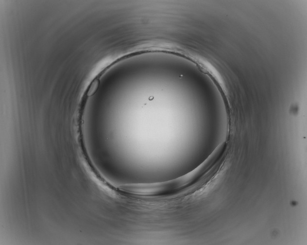 X0000094430997200711081221