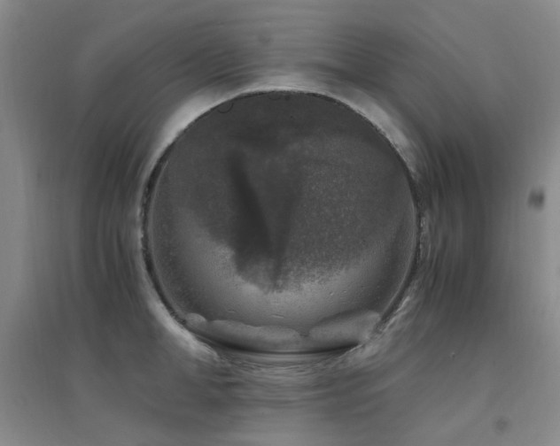 X0000094430998200711081221