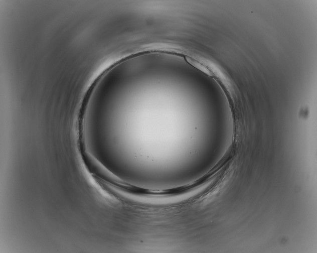 X0000094430999200711081221