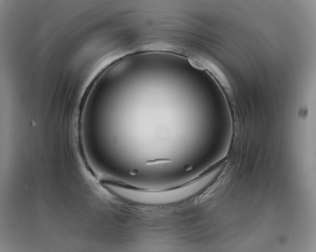 X0000094431000200711081221