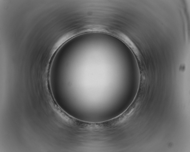 X0000094431002200711081221