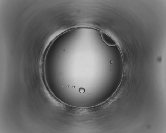 X0000094431003200711081221