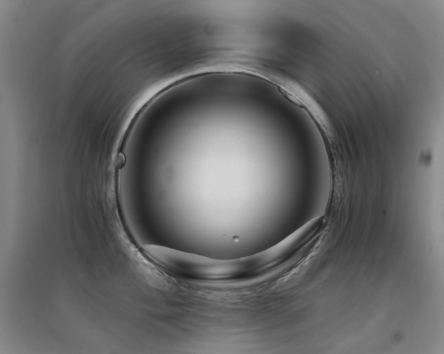 X0000094431004200711081221