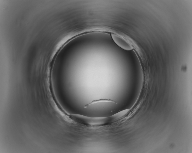 X0000094431006200711081221