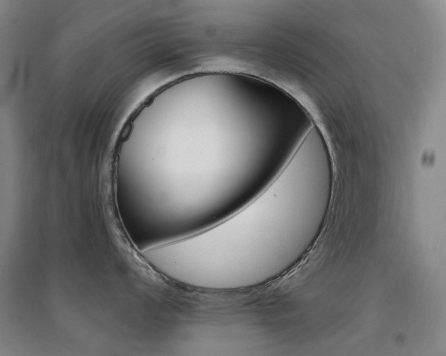 X0000094431008200711081221