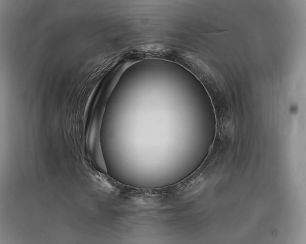 X0000094431010200711081221