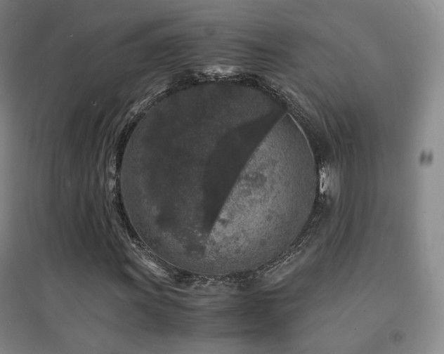 X0000094431011200711081221
