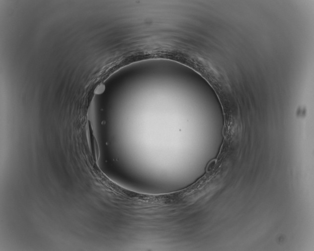 X0000094431012200711081221