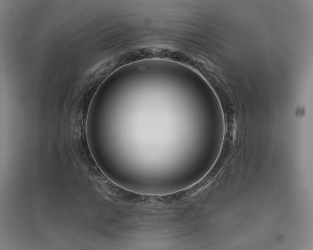 X0000094431014200711081221