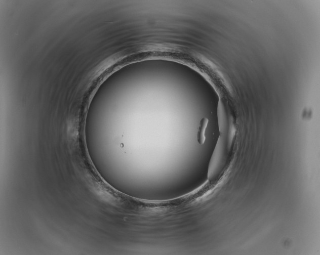 X0000094431017200711081221