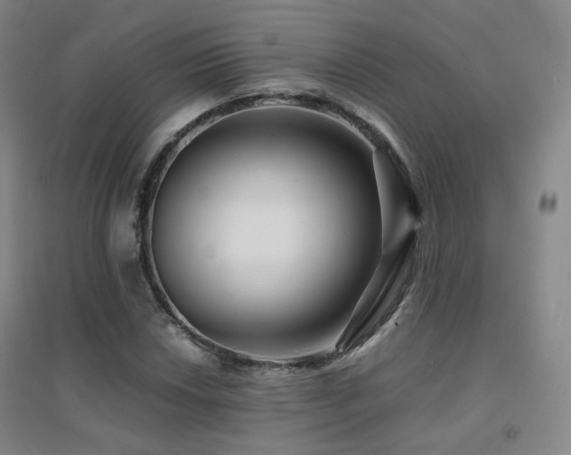 X0000094431018200711081221