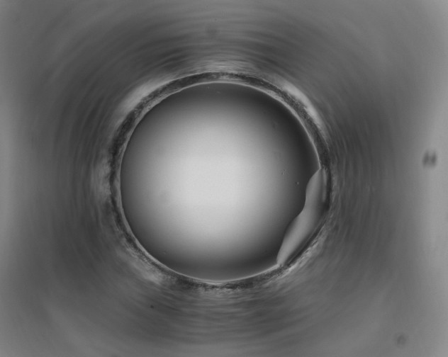 X0000094431019200711081221