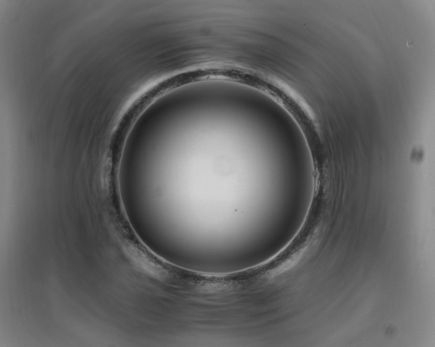 X0000094431021200711081221