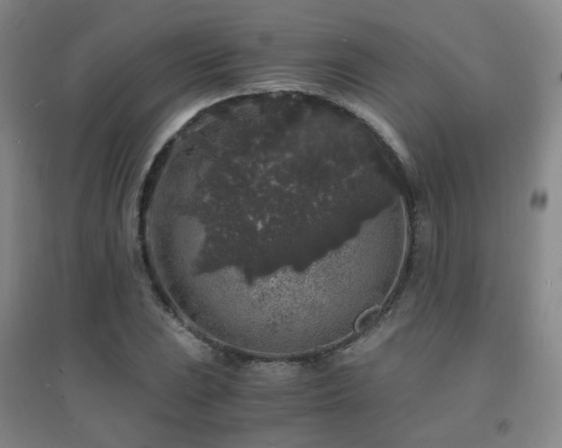 X0000094431023200711081221