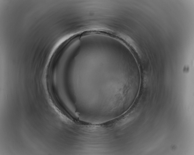 X0000094431024200711081221