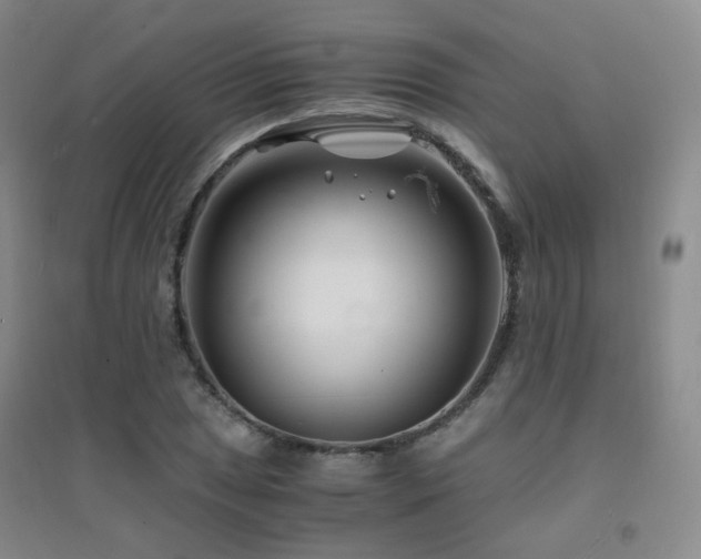 X0000094431025200711081221