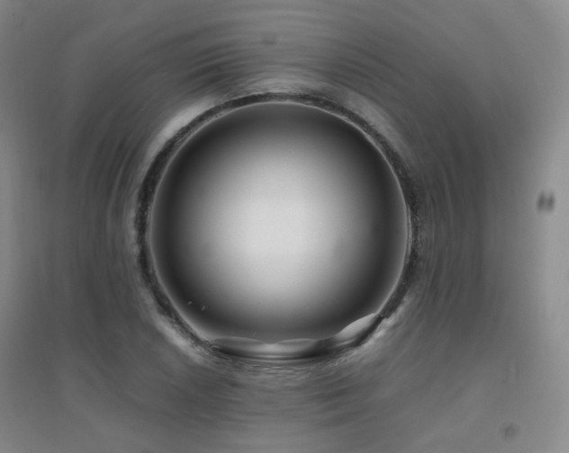 X0000094431026200711081221