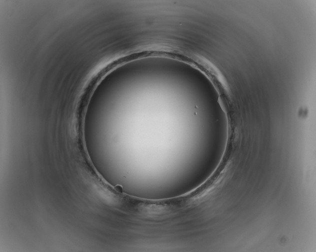 X0000094431027200711081221