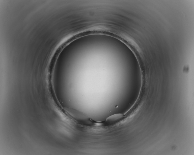 X0000094431029200711081221