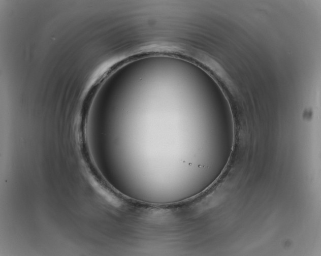 X0000094431030200711081221