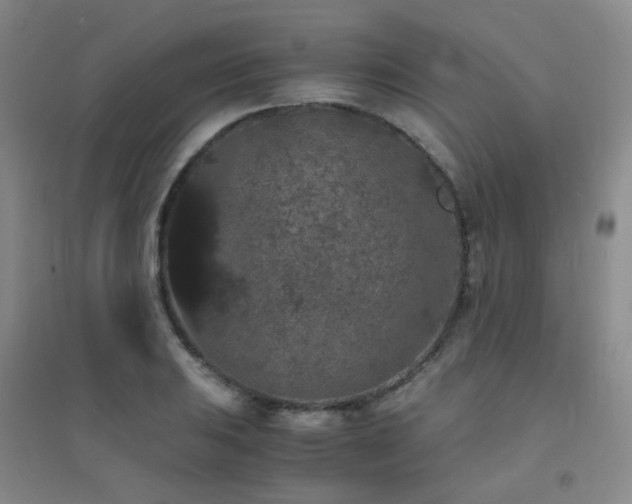 X0000094431031200711081221