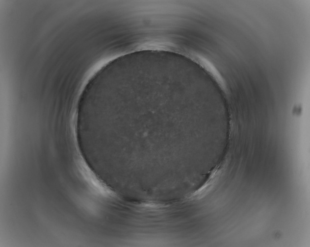 X0000094431035200711081221