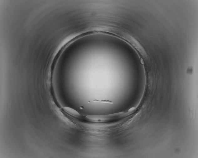 X0000094431036200711081221