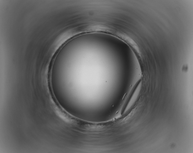 X0000094431039200711081221