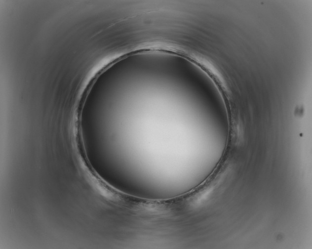 X0000094431040200711081221