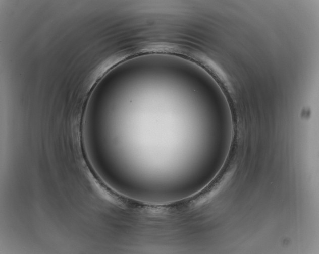X0000094431041200711081221