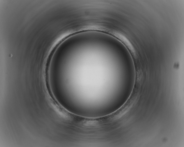 X0000094431043200711081221