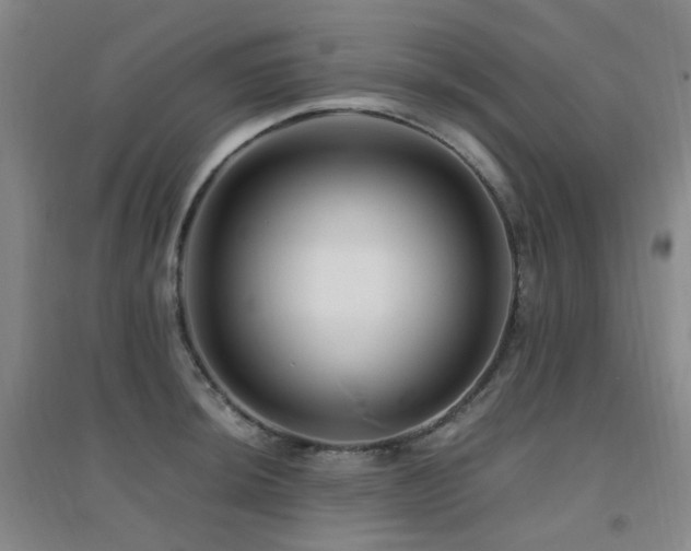 X0000094431044200711081221