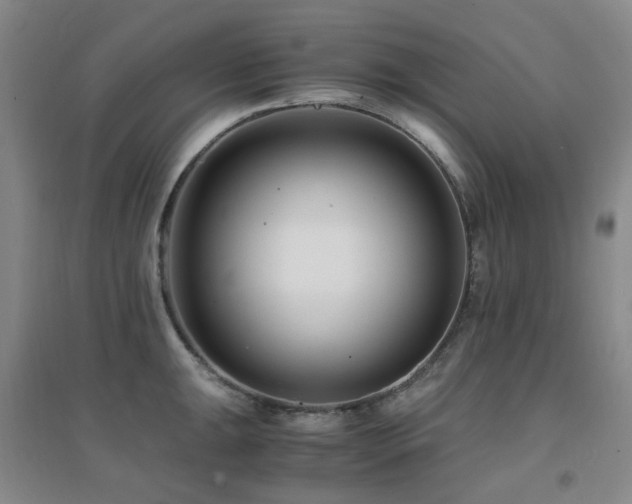 X0000094431047200711081221