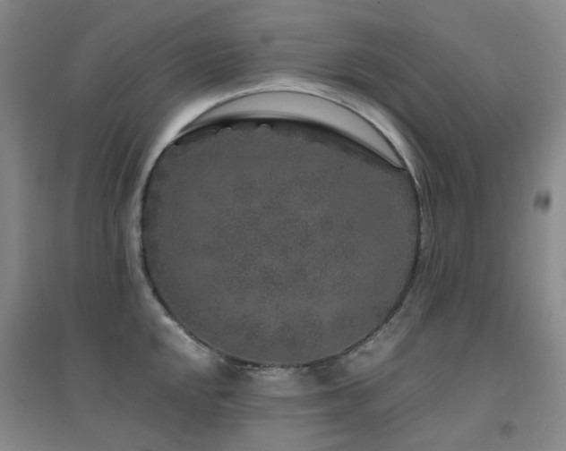 X0000094431048200711081221