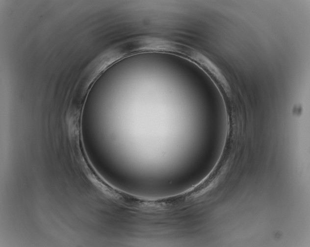 X0000094431049200711081221