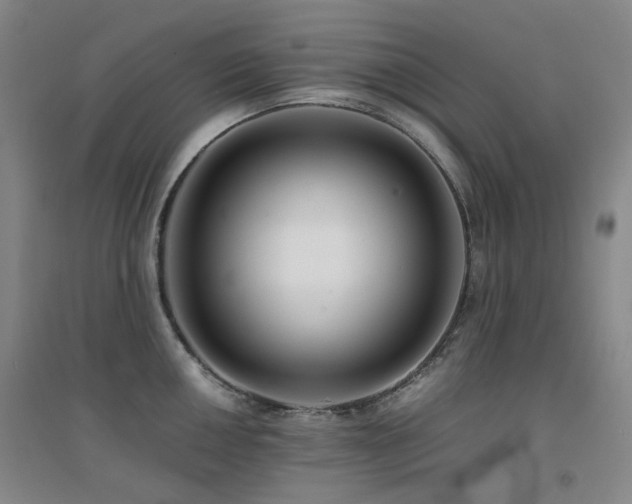 X0000094431050200711081221