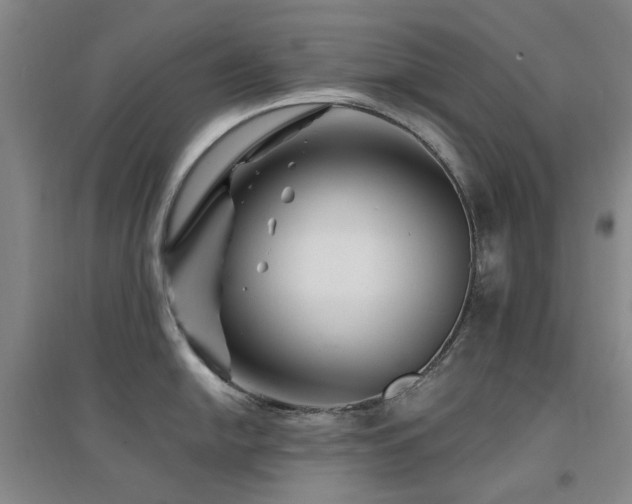 X0000094431054200711081221