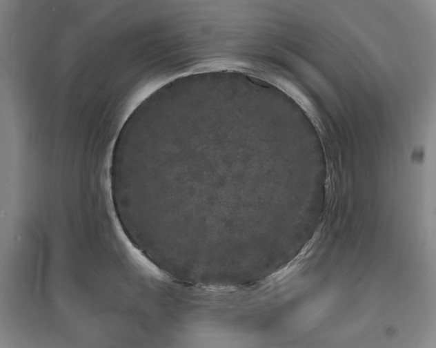 X0000094431055200711081221