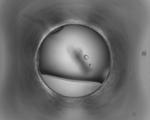 X0000094431056200711081221