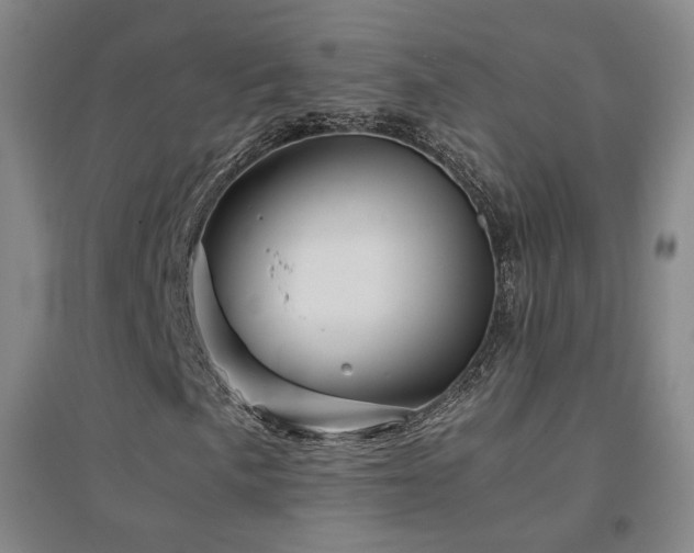 X0000094431057200711081221