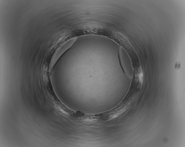 X0000094431060200711081221