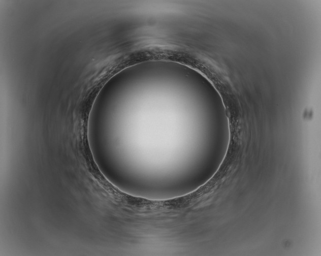 X0000094431061200711081221